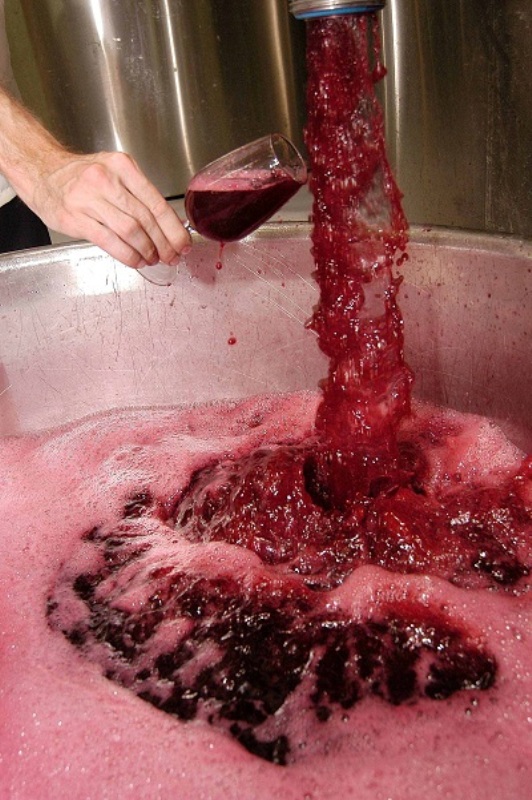 Conheça os vinhos que têm fermentação diferenciada