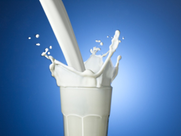 Resultado de imagem para leite e derivados